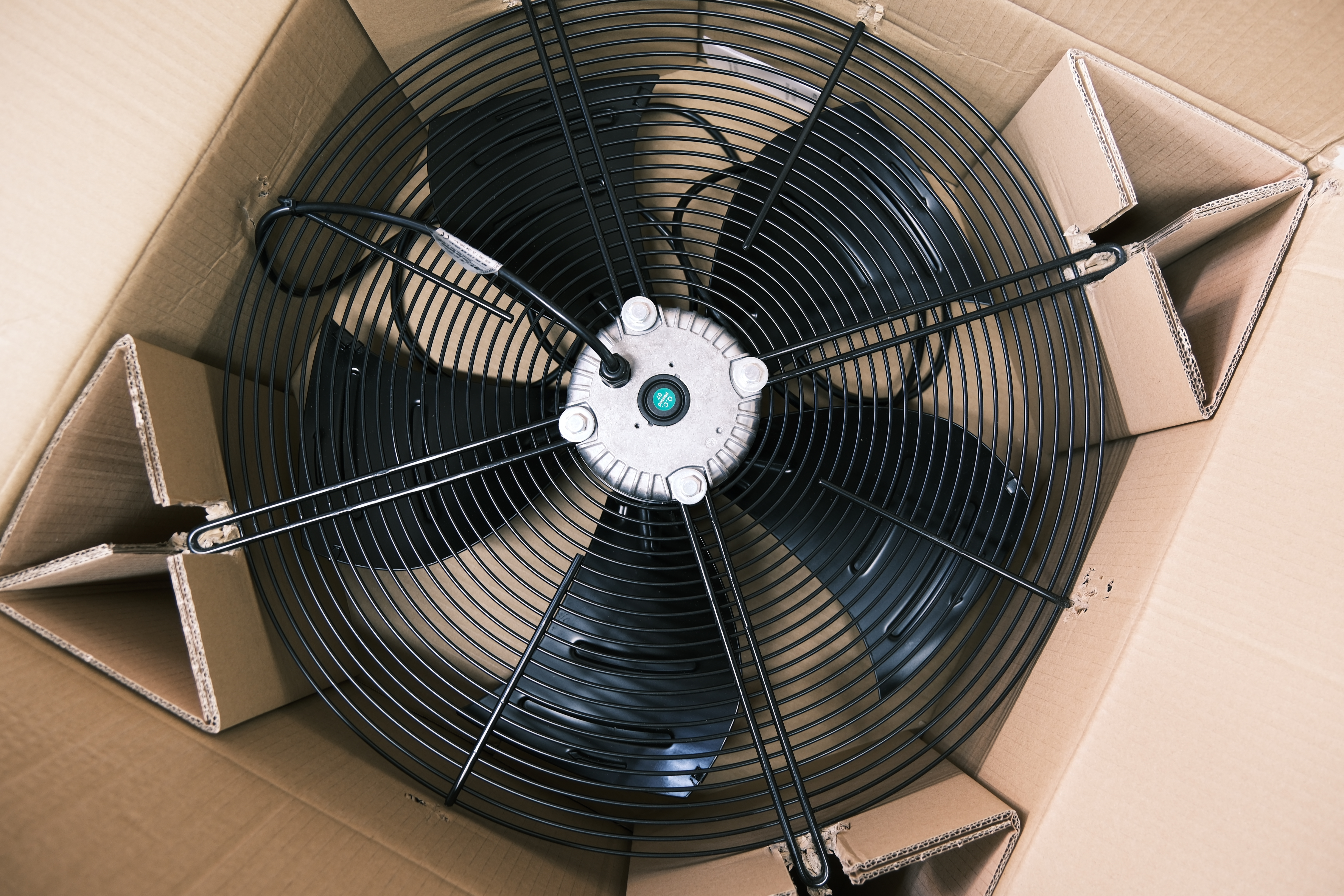 Fan