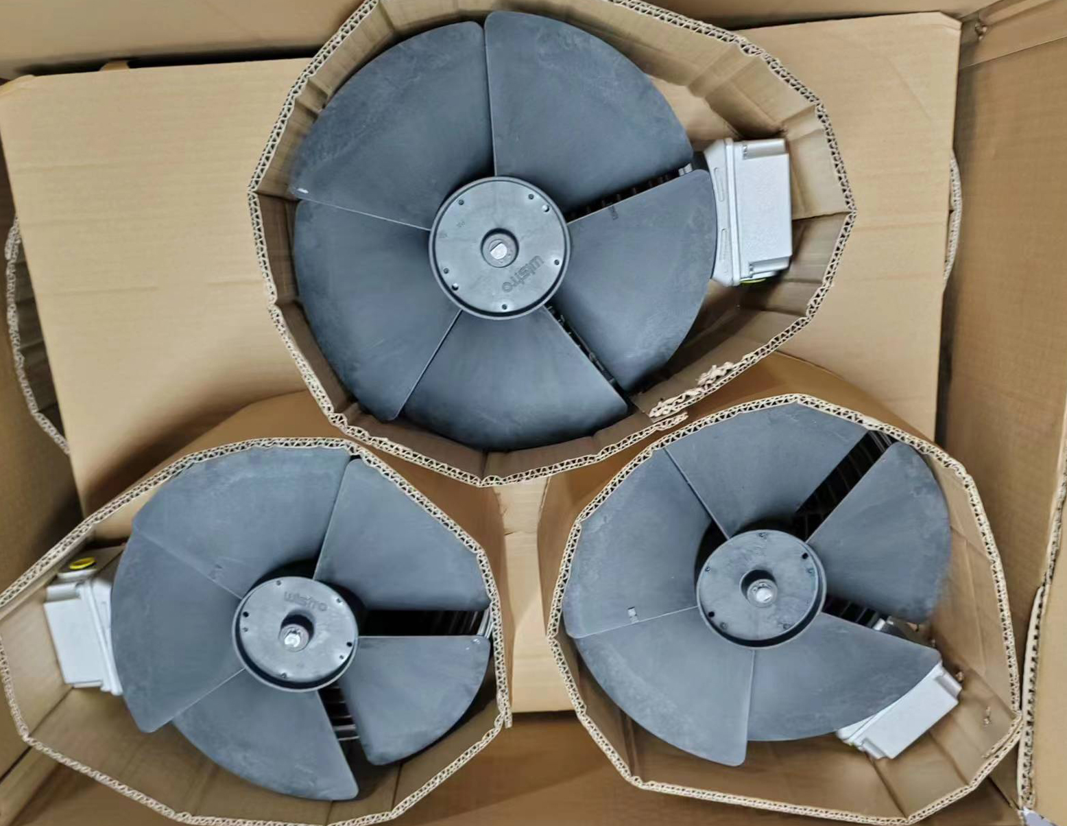 Fan