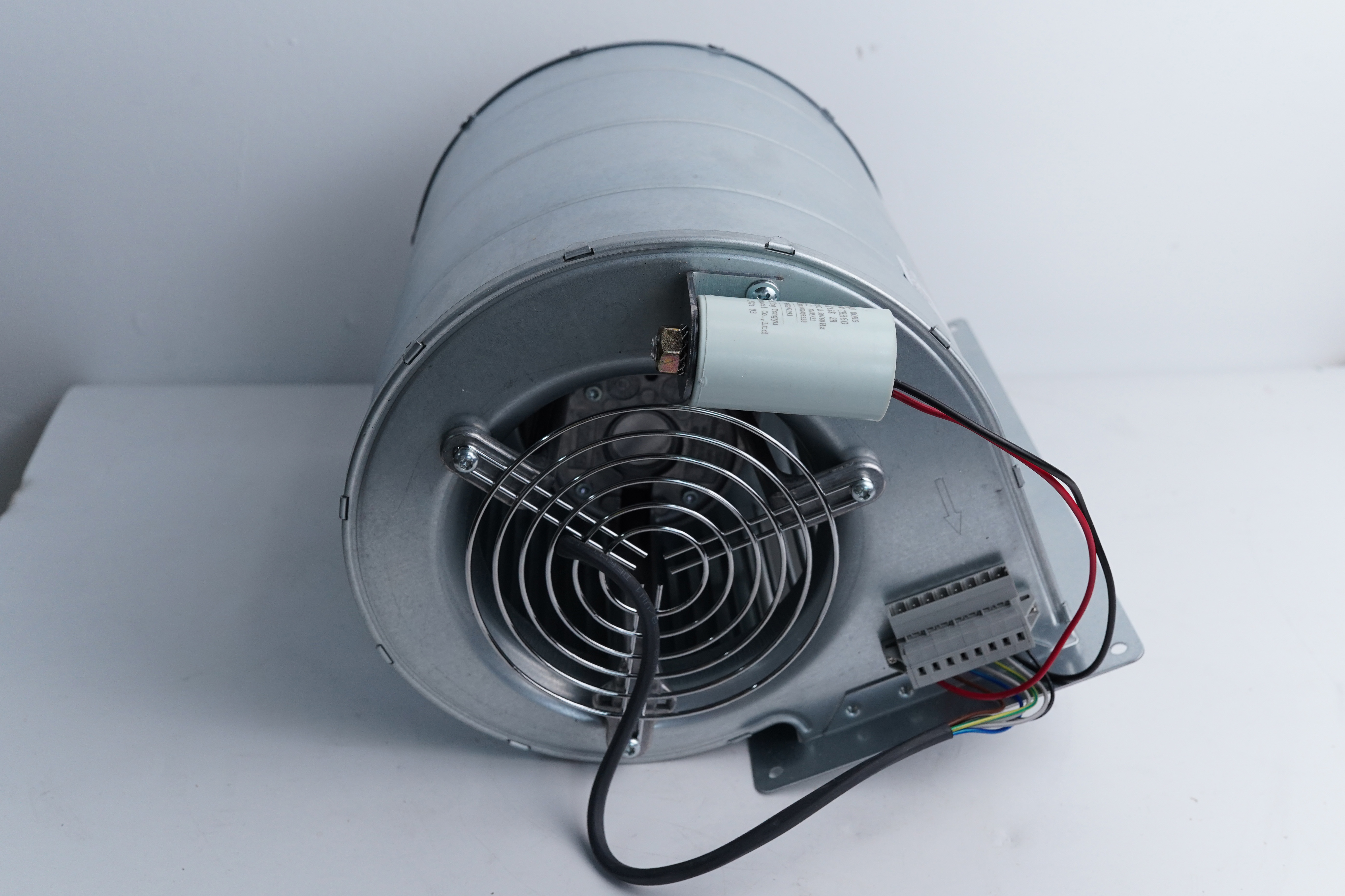 Fan