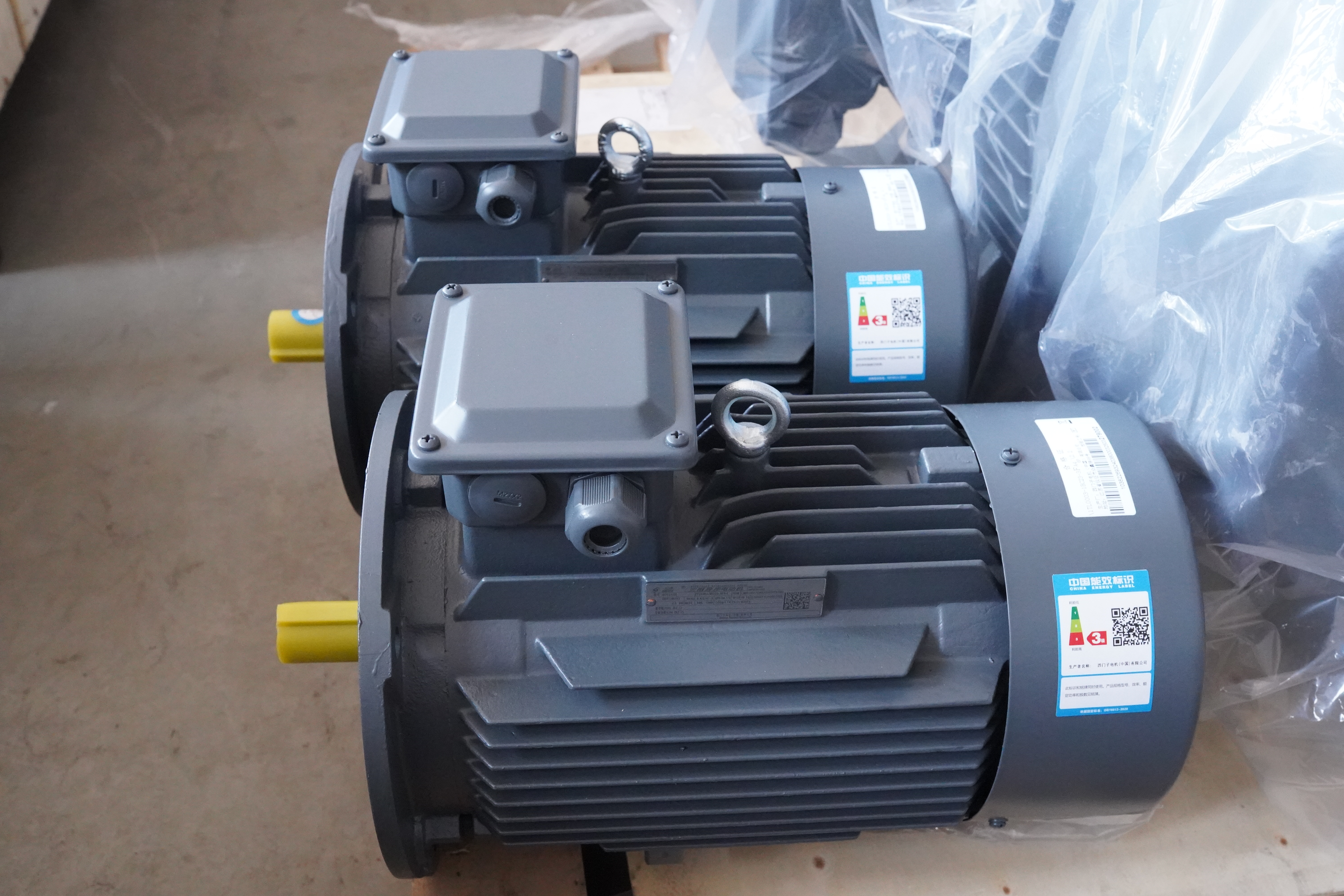 Motor